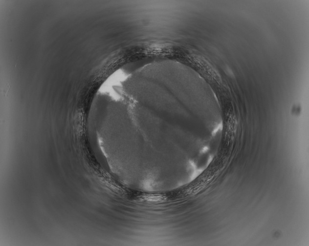 X0000097590659200803280929