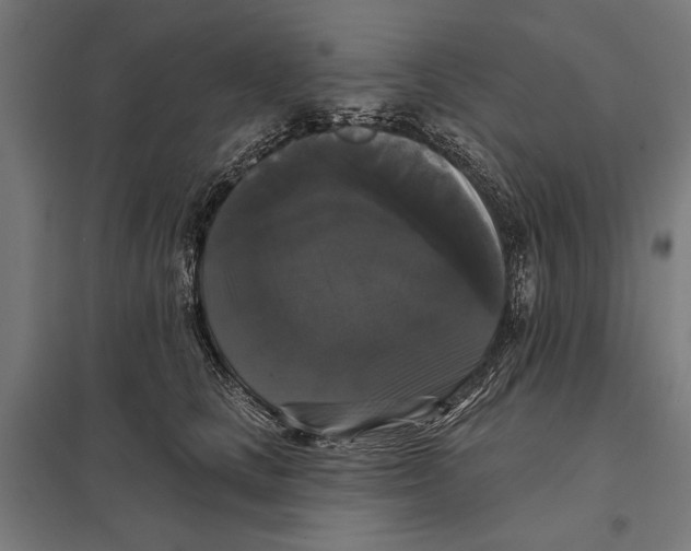 X0000097590661200803280929