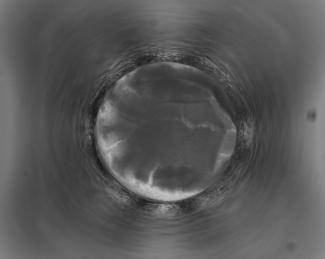 X0000097590663200803280929