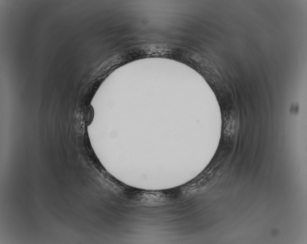 X0000097590666200803280929