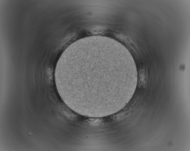 X0000097590667200803280929