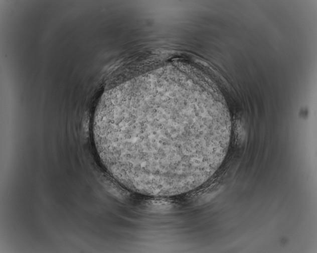 X0000097590668200803280929