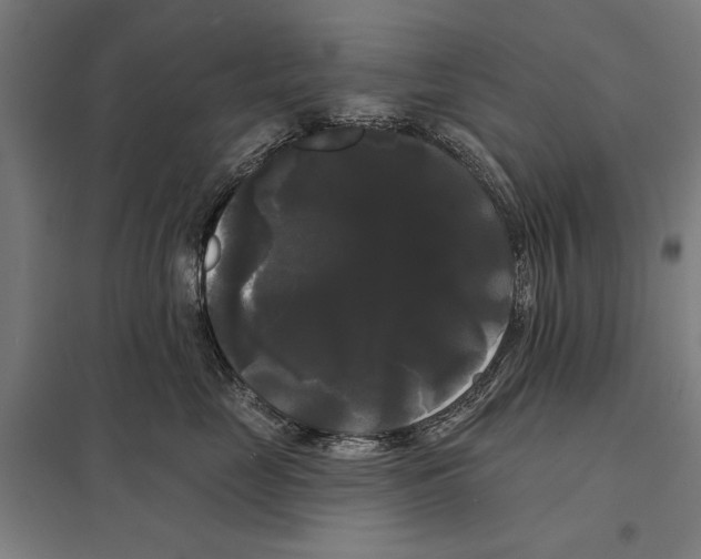 X0000097590669200803280929