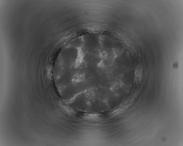 X0000097590671200803280929