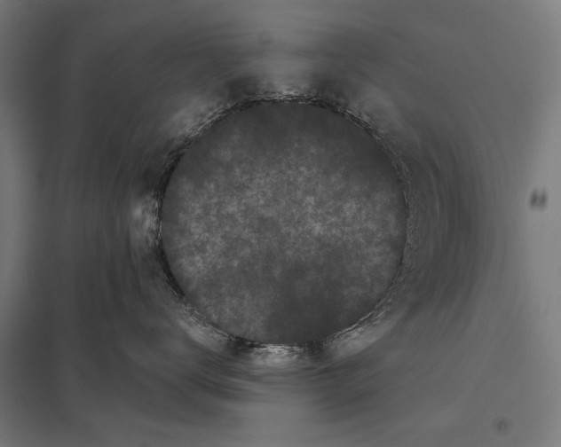 X0000097590672200803280929