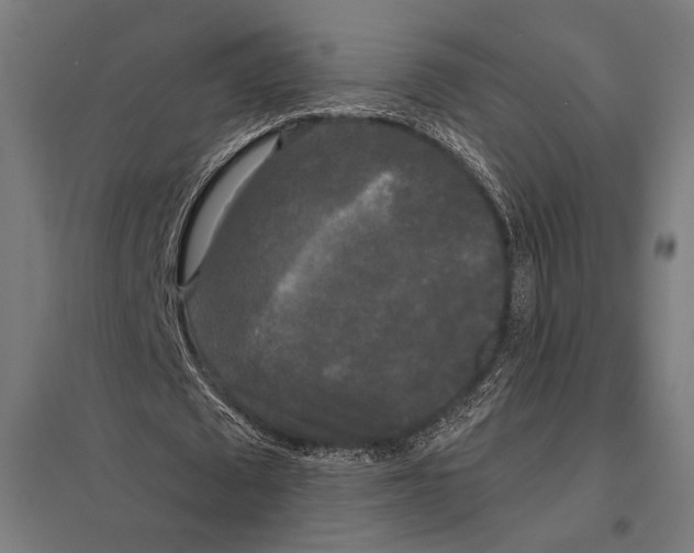 X0000097590673200803280928