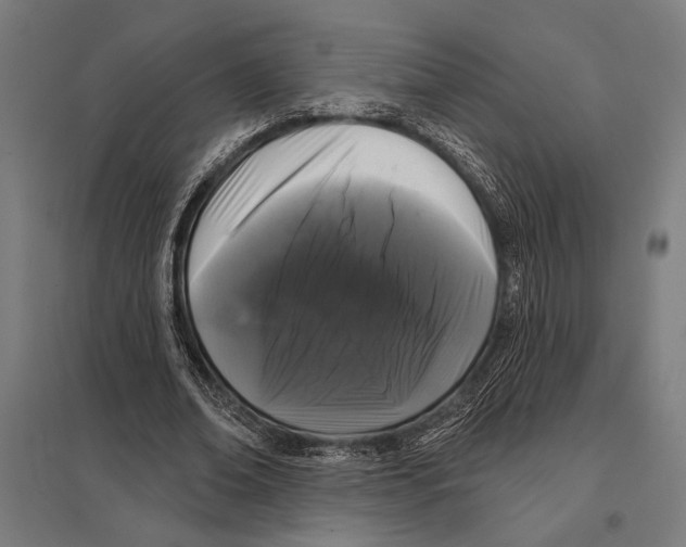 X0000097590678200803280928