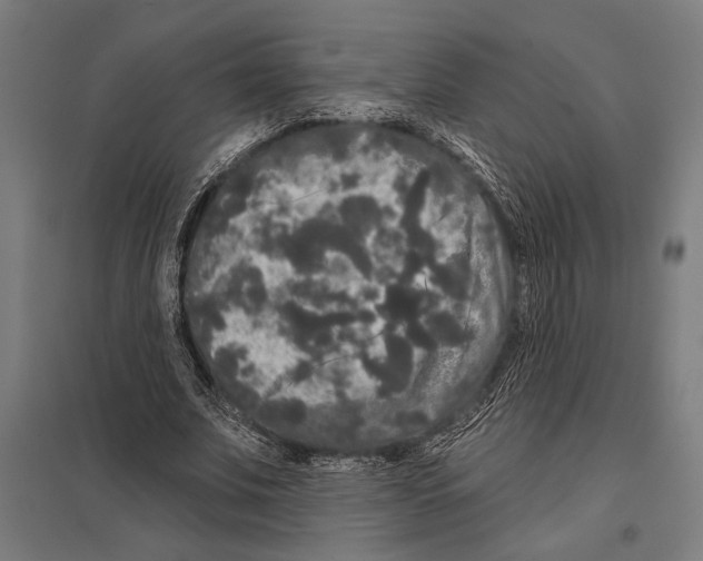 X0000097590679200803280928