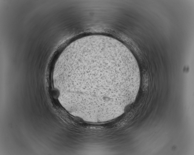 X0000097590680200803280928