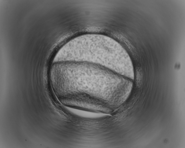 X0000097590684200803280928