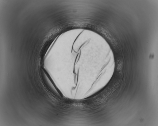 X0000097590685200803280928