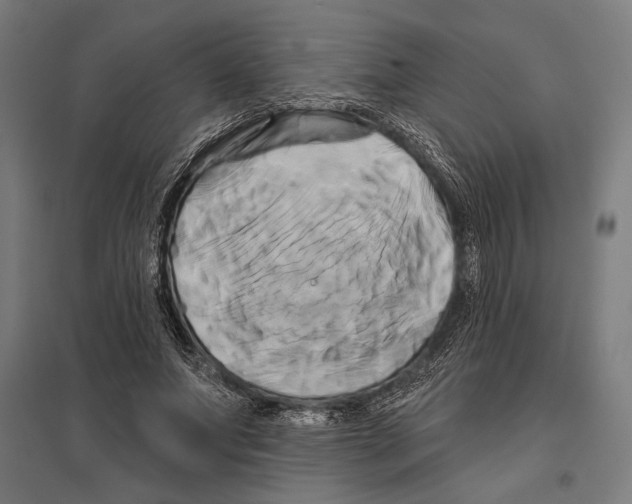 X0000097590687200803280928