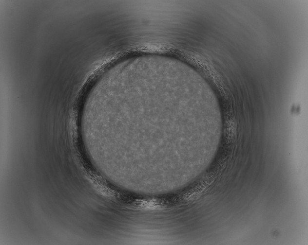 X0000097590688200803280928