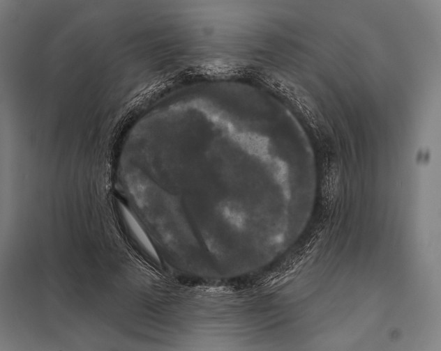 X0000097590689200803280928