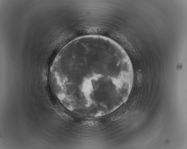 X0000097590691200803280928