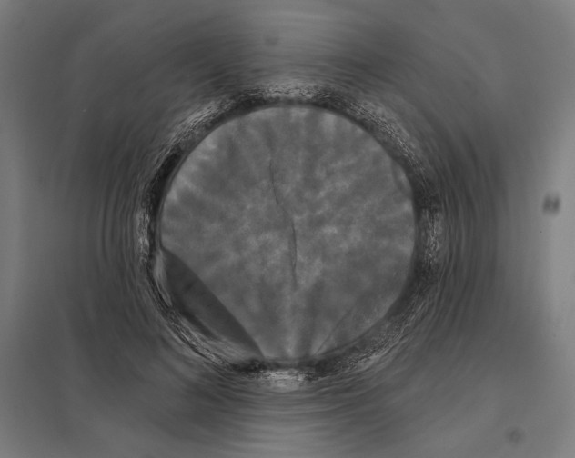 X0000097590692200803280928