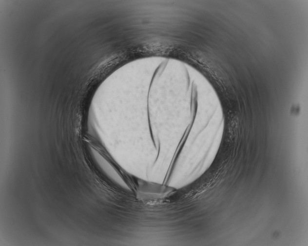 X0000097590693200803280928