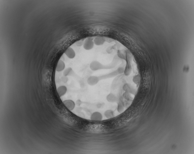 X0000097590695200803280928