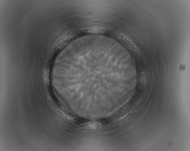 X0000097590696200803280928