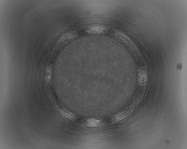 X0000097590701200803280927