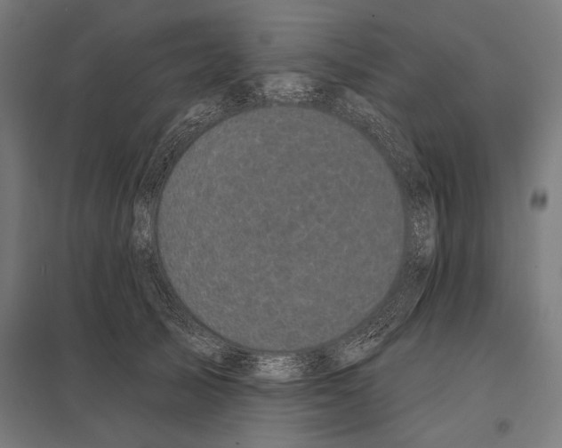 X0000097590705200803280927