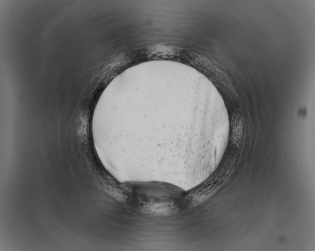 X0000097590708200803280927