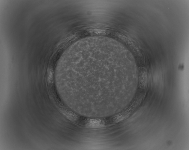 X0000097590709200803280927