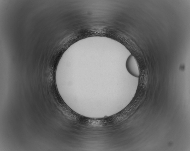 X0000097590710200803280927