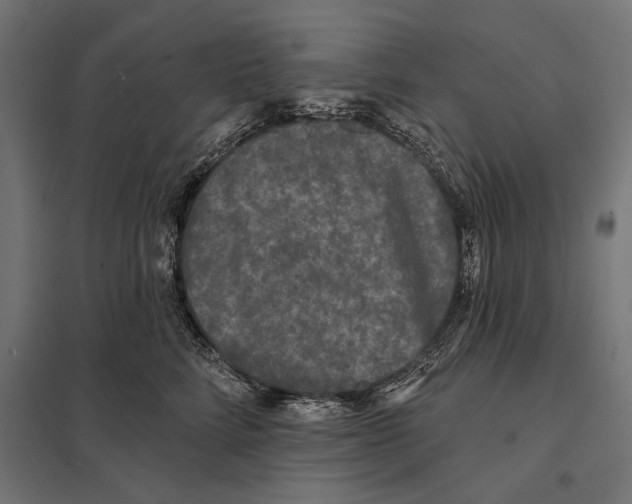 X0000097590712200803280927