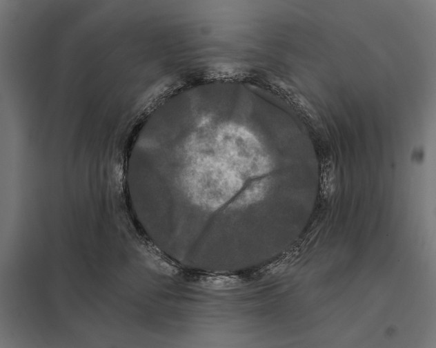 X0000097590716200803280927