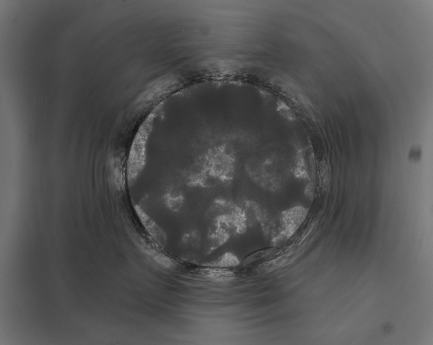 X0000097590719200803280927