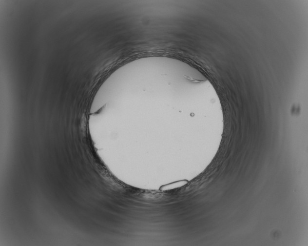 X0000097590720200803280927