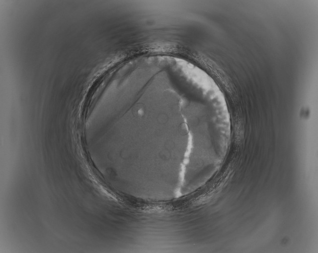 X0000097590721200803280926