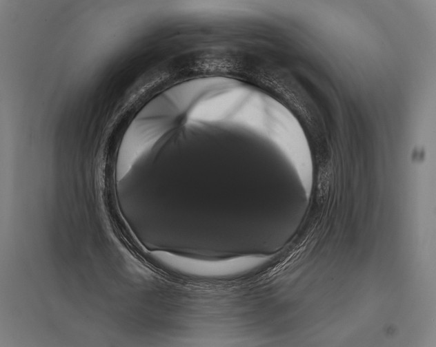 X0000097590722200803280926