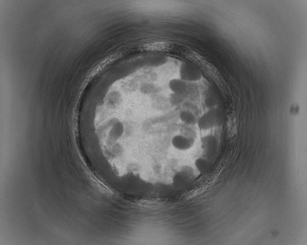 X0000097590725200803280926