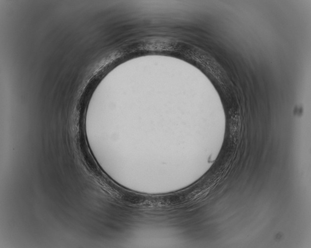 X0000097590727200803280926