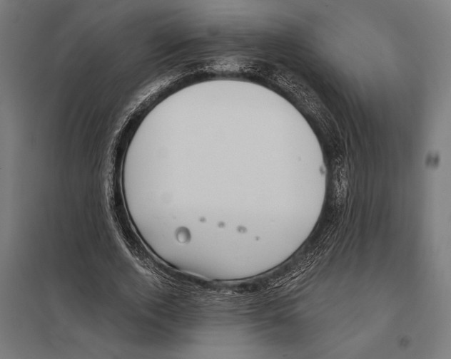 X0000097590728200803280926