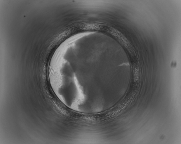 X0000097590729200803280926