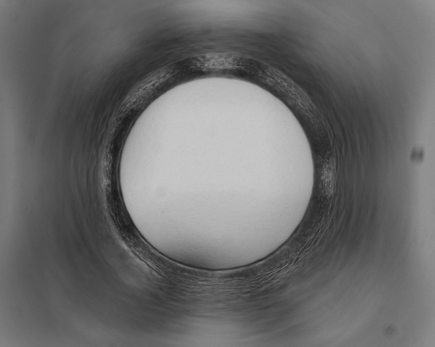 X0000097590732200803280927