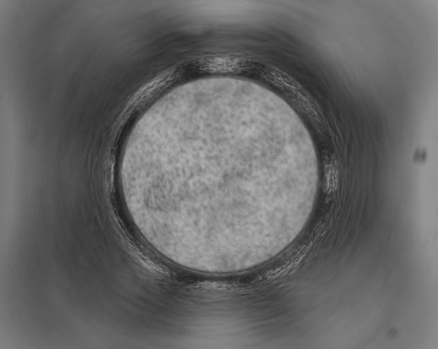 X0000097590733200803280927