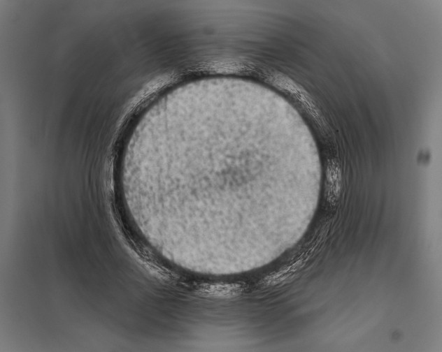 X0000097590734200803280927