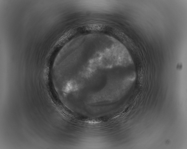 X0000097590735200803280927