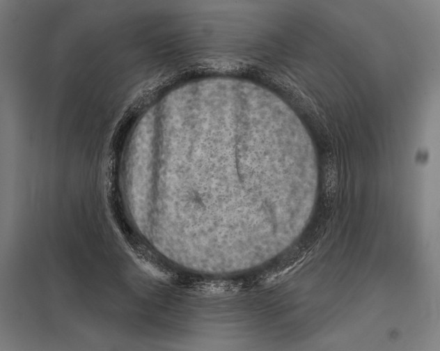 X0000097590736200803280927