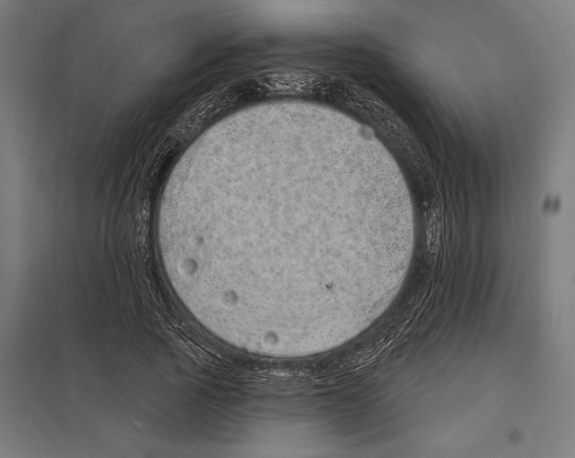 X0000097590737200803280927