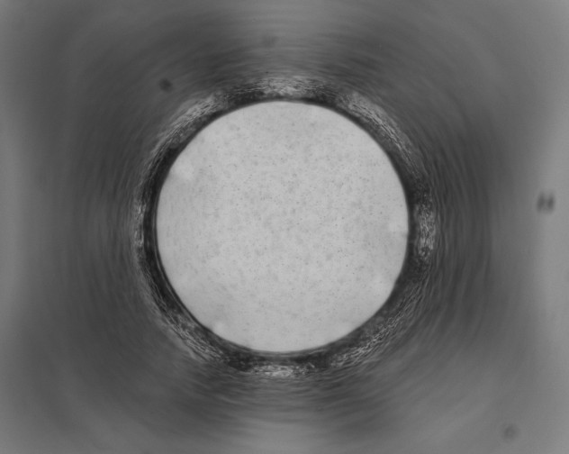 X0000097590738200803280927