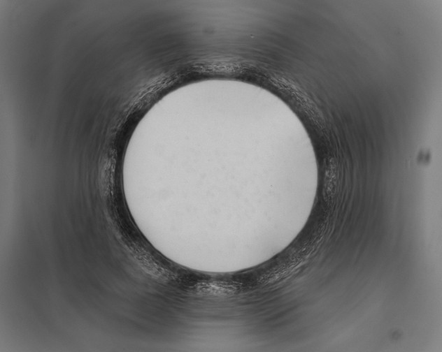 X0000097590739200803280927