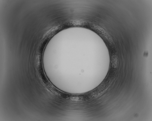 X0000097590740200803280927