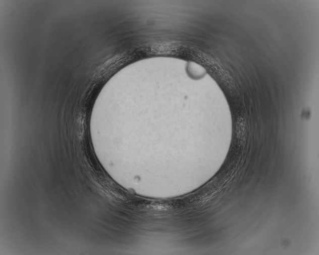 X0000097590741200803280927