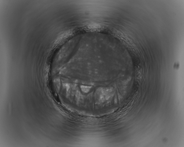 X0000097590742200803280927