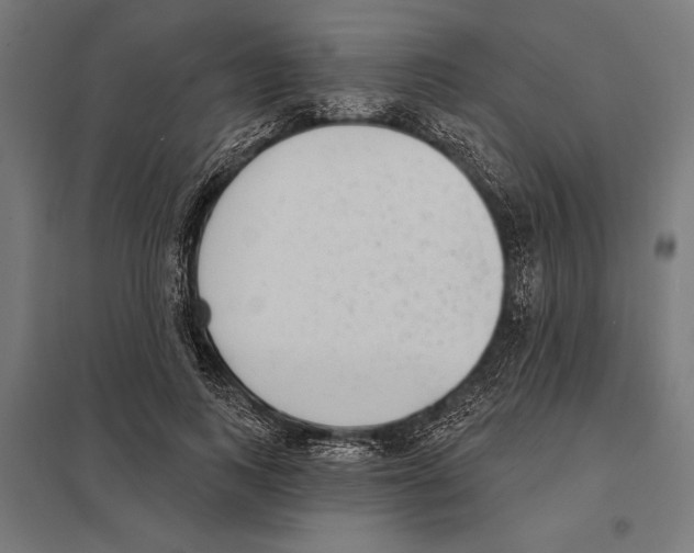 X0000097590743200803280927